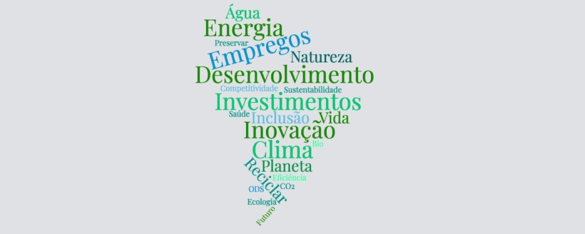 Seminario O Big Push Ambiental no Brasil