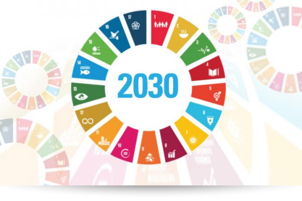 coordinacion-estadistica_agenda2030_portada.png